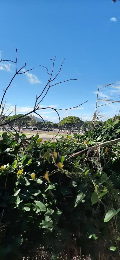 Les Iles D'Or Au Port De Hyeres Grand Studio Climatise Kültér fotó