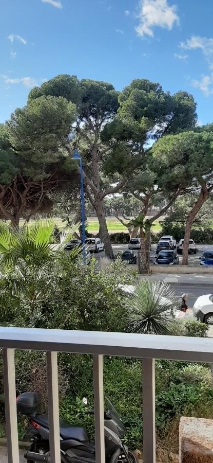 Les Iles D'Or Au Port De Hyeres Grand Studio Climatise Kültér fotó