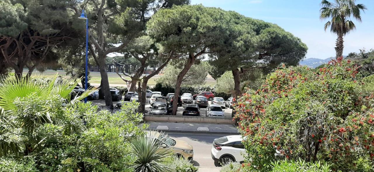 Les Iles D'Or Au Port De Hyeres Grand Studio Climatise Kültér fotó